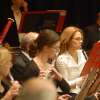 orchestra vignette - Woodwinds