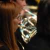 orchestra vignette - Horns